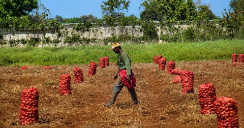 Cuba ajusta reglas para vender productos del campo
