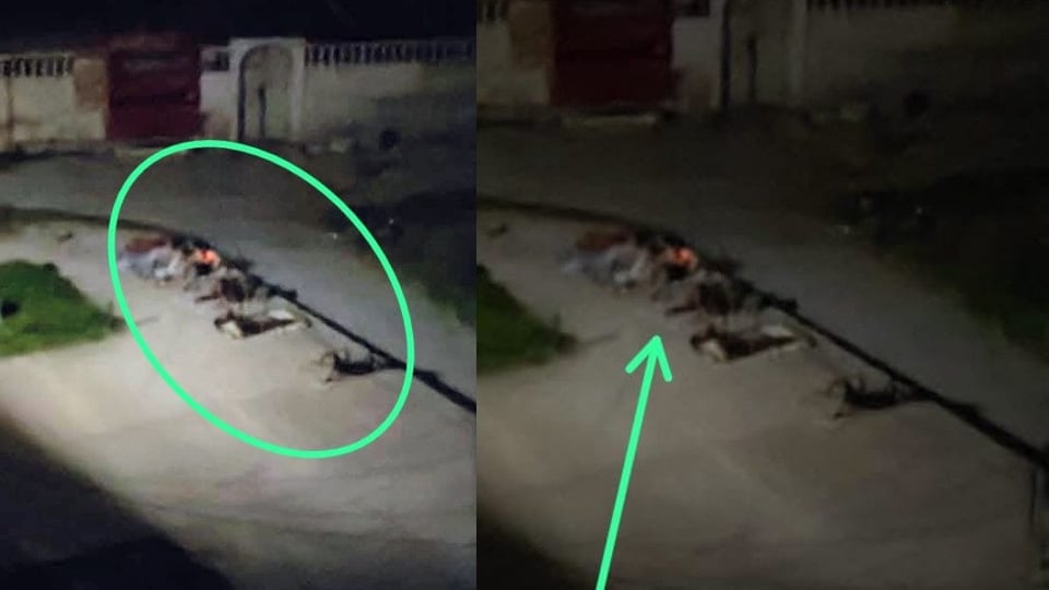 ¿La luz se fue y te mudaste pa' la acera? La pela en El Cerro