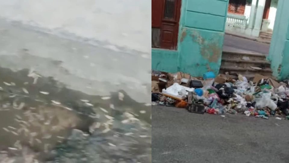 ¿Y Ahora Quién Limpia esto? Centro Habana se ahoga en Basura y Gusanos