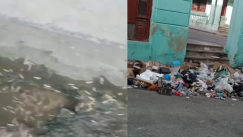 ¿Y Ahora Quién Limpia esto? Centro Habana se ahoga en Basura y Gusanos