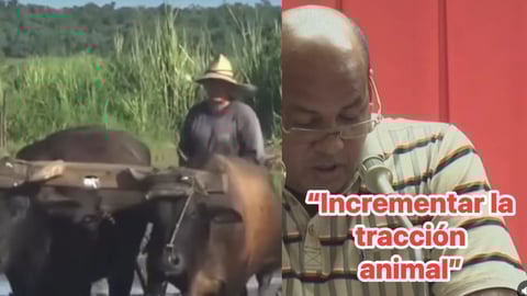 Granma retrocede a la era de la carreta: Cuba enfrenta una "Opción Cero" energética