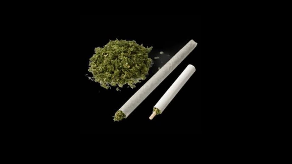 ¡Qué bochinche en Bayamo! Madre e hijo pillados con tremendo paquetón de marihuana
