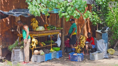 ¿Una Cebolla por 900 Pesos? ¡El Botín de la Escasez en Cuba!