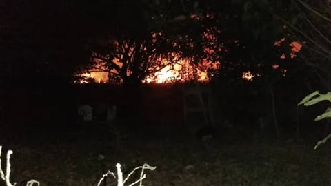 Incendio en Matanzas: El Mangle de El Naranjal Vuelve a Respirar