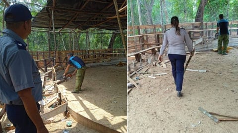 ¿Te Enteraste? ¡Cerraron Una Peleíta Clandestina de Gallos en Viñales!