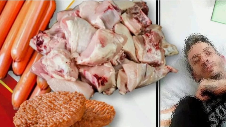 ¿Cenaron Pollo los Tiburones de Matanzas? ¡Intentan Roer un Contenedor en el Muelle!