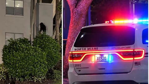 Joven Secuestrado y Hallado Muerto Tras Tiroteo en North Miami