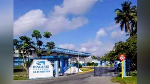 Cárdenas: Detienen a dos por robo en pescadería y otros delitos