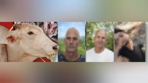 Arrestan a tres hombres por robo y sacrificio de ganado en Jovellanos
