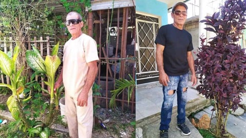 Homicidio en La Habana: Investigan Muerte Violenta en San Francisco de Paula