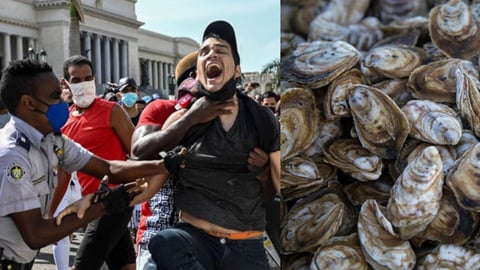 La Resistencia de Alina Bárbara López Frente a la Censura en Cuba