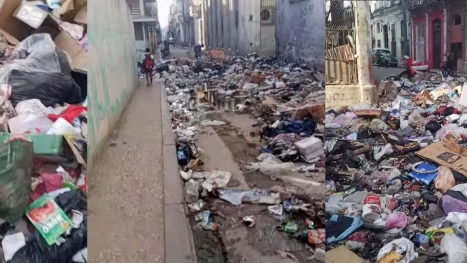 ¿Y si nos cuidamos solitos? Vecino llama a la acción ante inseguridad en La Habana