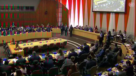 ONU elige a países cuestionados para Comité de ONG