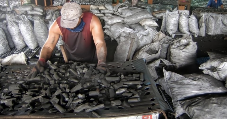 ¡Se paró el traqueteo! Azúcar en Cuba se vuelve carbón y comida por falta de gasolina