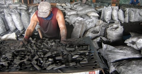 Cuba's Sugar Harvest Paused Amid Fuel Shortages, Workers Turn to Alternative Production