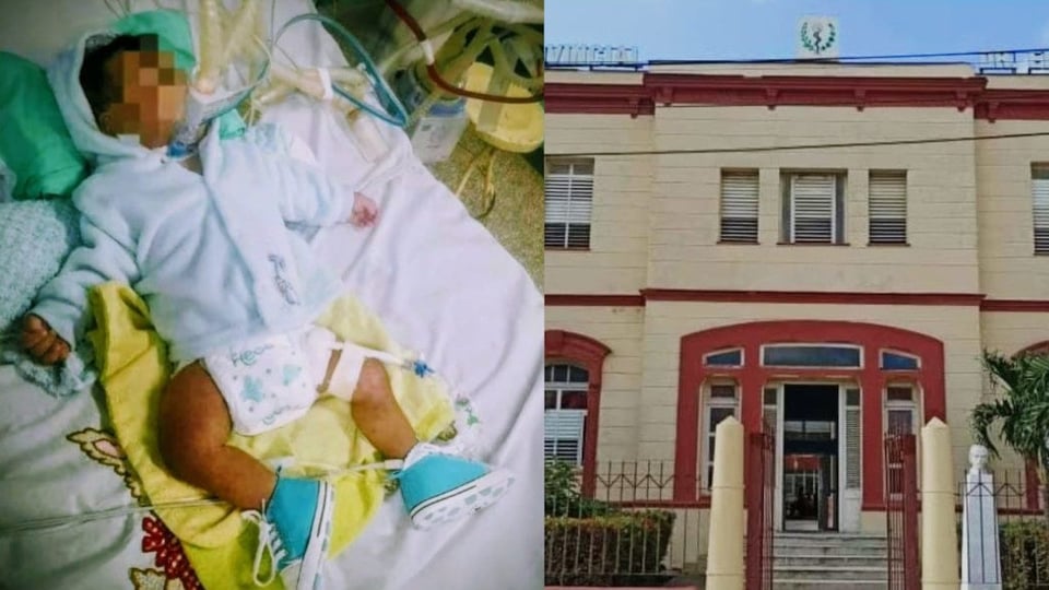 ¿Y el chivito murió en Cuba? La tragedia del bebé que no pudo ser operado