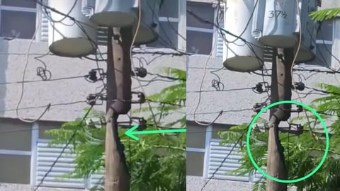 Poste Eléctrico en Deterioro y Reciente Incendio Generan Alarma en La Víbora