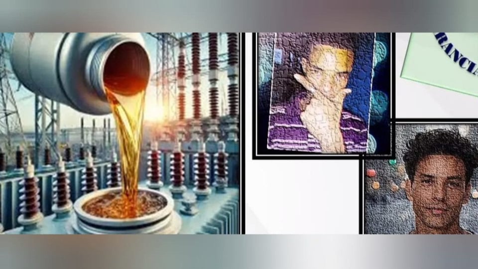 ¿Unos Manitas con la Luz Apagada? Pillados Robando Aceite de Transformadores en Jovellanos