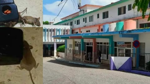 Roedores en Hospital Pediátrico de Matanzas: Familiares Denuncian Preocupante Situación Sanitaria