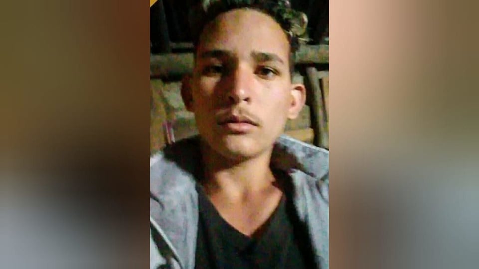 Joven de 17 años muere tras caer de una palma de coco en Camagüey