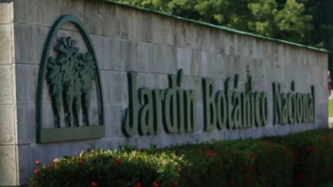 Jardín Botánico Nacional de Cuba Cierra Temporalmente por Escasez de Combustible