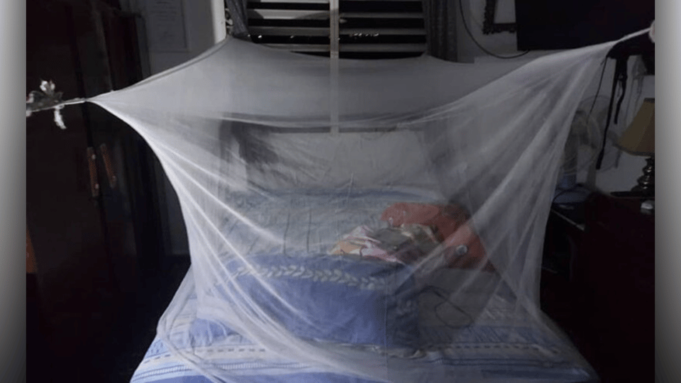¿Y tú crees que se puede dormir así? Crónica de un cubano que no aguanta más