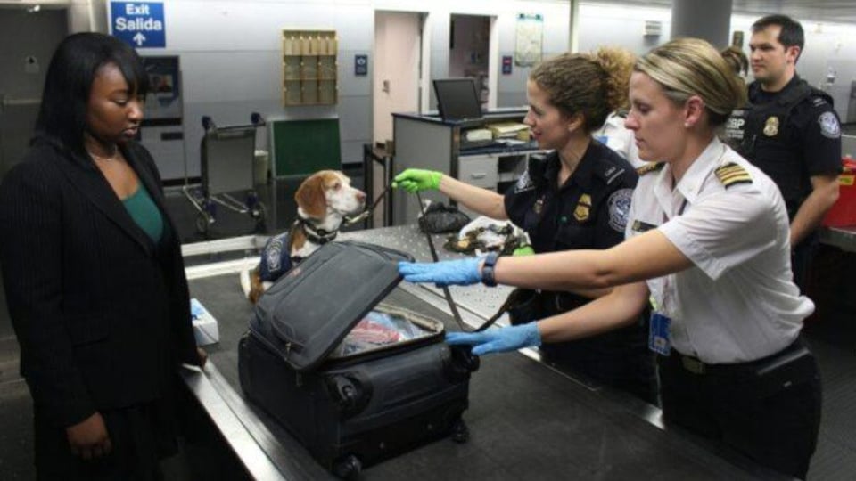 ¿Llegó el alivio? Agentes de la TSA cobran tras semanas 'en cueros'