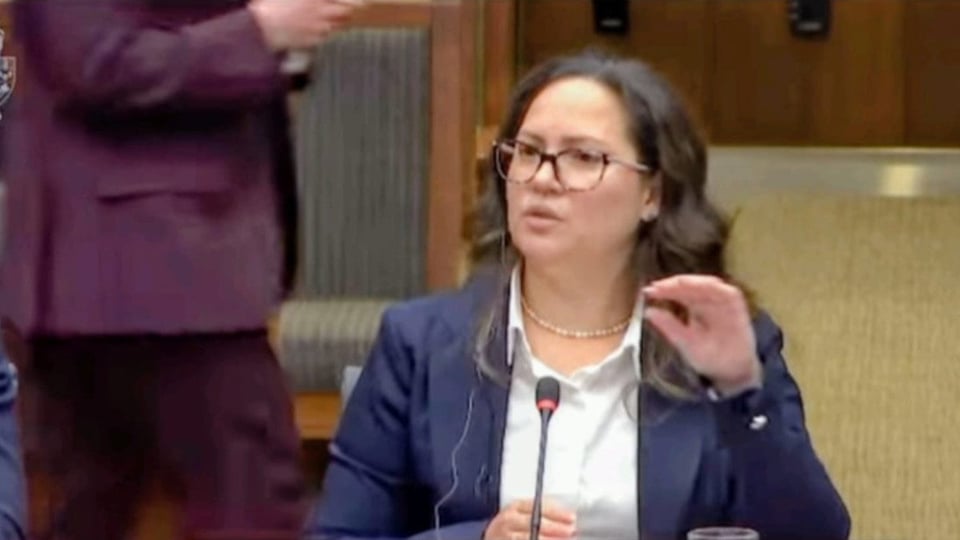¿Y tú sabías esto? Cubana se le planta al Parlamento de Canadá pa' pedirle cuentas al Gobierno