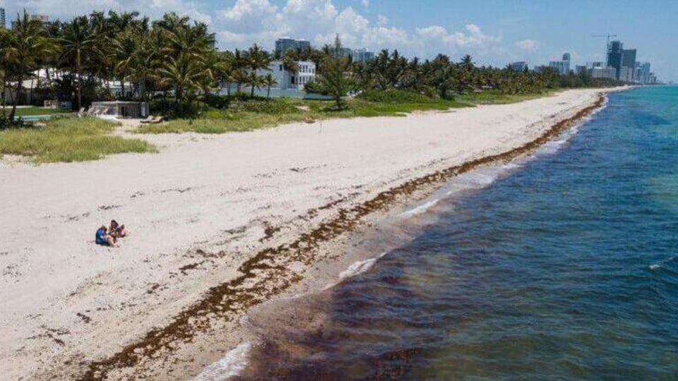 ¿Y ahora qué? Tres playas de Miami te mandan pa' casa con la advertencia sanitaria