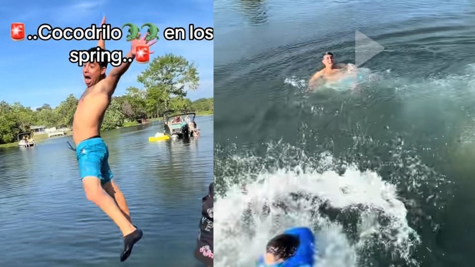 ¿Qué lo que? Cubanos se tiran al agua con caimán en Florida y el video revienta las redes