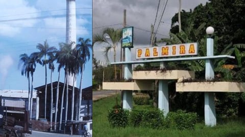 Custodio Muere Tras Ser Apunalado en un Ataque en Espartaco, Palmira