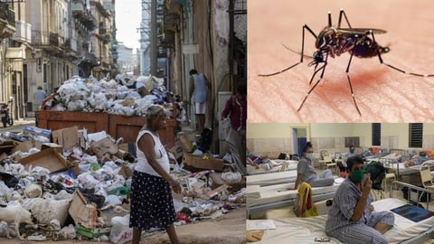 Cuba Battles Simultaneous Outbreaks of Six Diseases Amidst Sanitation Woes