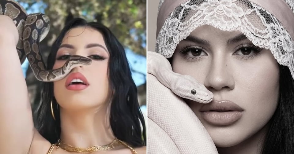 ¿Serpientes en Miami? Rachel Arderi y La Dura desatan polémica por fotos salvajes