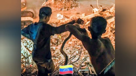Hermanos Venezolanos: 26 Días de Búsqueda Literaria entre Escombros