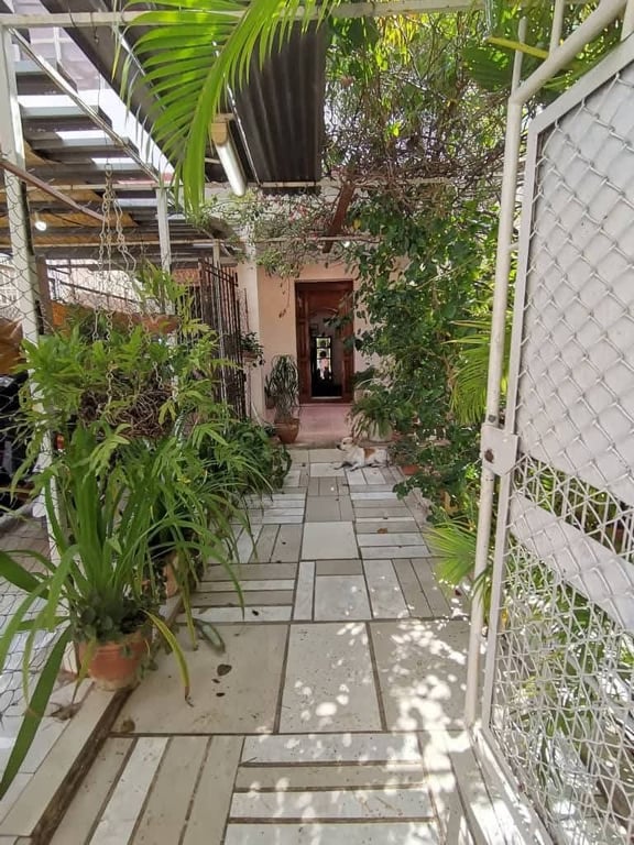 el-arca-de-noe-del-vedado-casa-independiente-de-2-plantas-con-todo-adentro-04.jpg