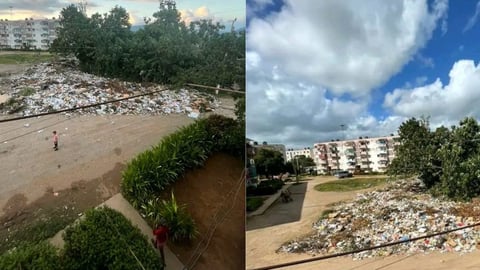 ¡Ay, Artemisa! ¿El basurero municipal ahora es un barrio? ¡Pura peste!