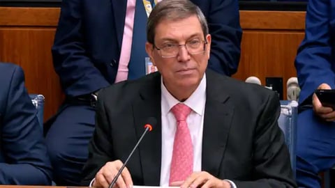 ¿Terrorista o Voz de la Disidencia? Cuba Pide Expulsión de Opositor en la ONU