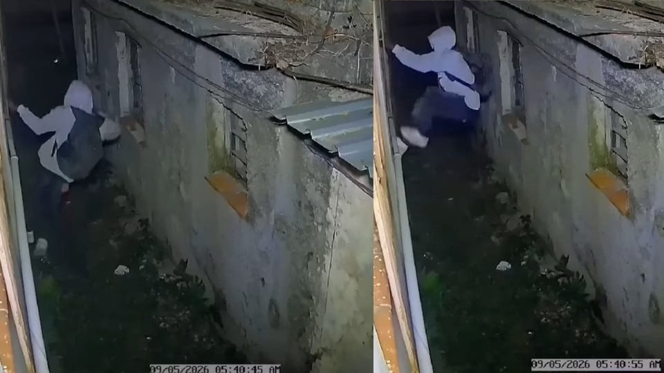 ¿Qué bochinche es este? Intentan robar en Arroyo Naranjo y ¡zas! se les caen las cámaras encima