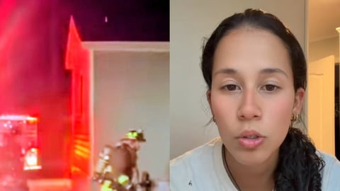 Gato Héroe Salva a Veterinaria Cubana y Animales de Incendio en Florida