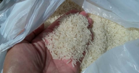 EE.UU. Aumenta Venta de Arroz a Cuba Ante Producción Local Decreciente