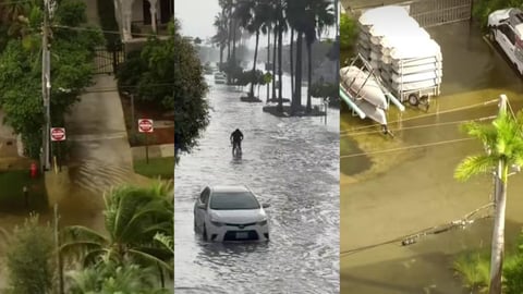 Florida Condados Bajo Asedio: Vientos Fuertes y Mareas Rey Crean Caos
