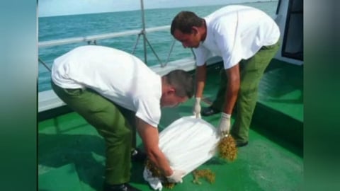 Cuba se Anuncia como Freno Antidrogas para EE.UU.