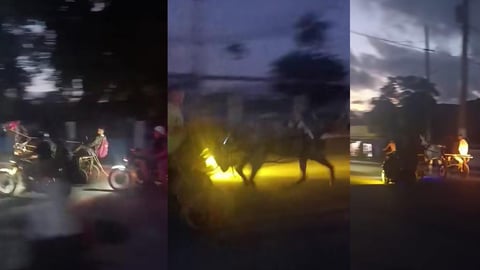 Carreras ilegales de caballos amenazan la seguridad en Pinar del Río