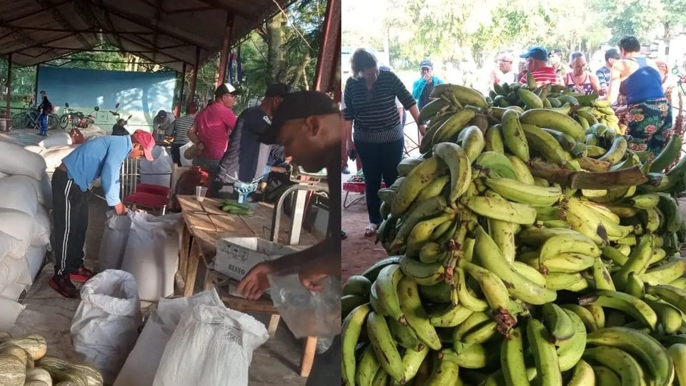 Precios de feria por Día de los Padres en Las Tunas generan debate