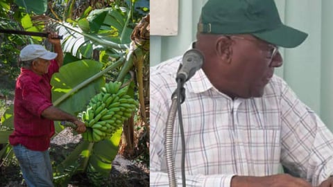 Cuba's Agricultural Struggles Persist Despite Official Optimism
