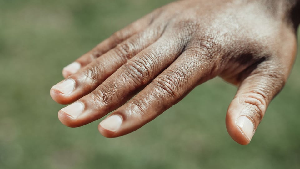 Cita de biometrics: qué esperar