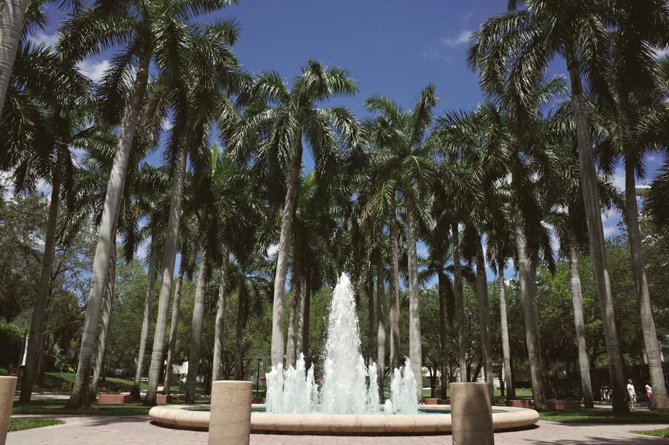 Visas de estudiante en Estados Unidos: guía para Miami