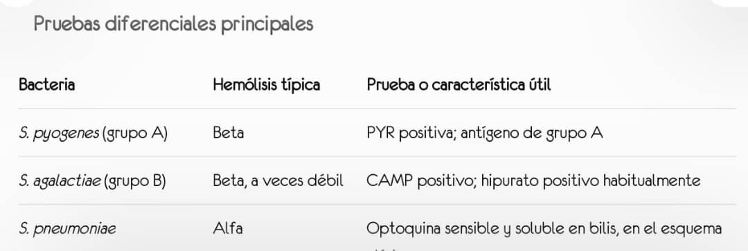 Morfología de estreptococos