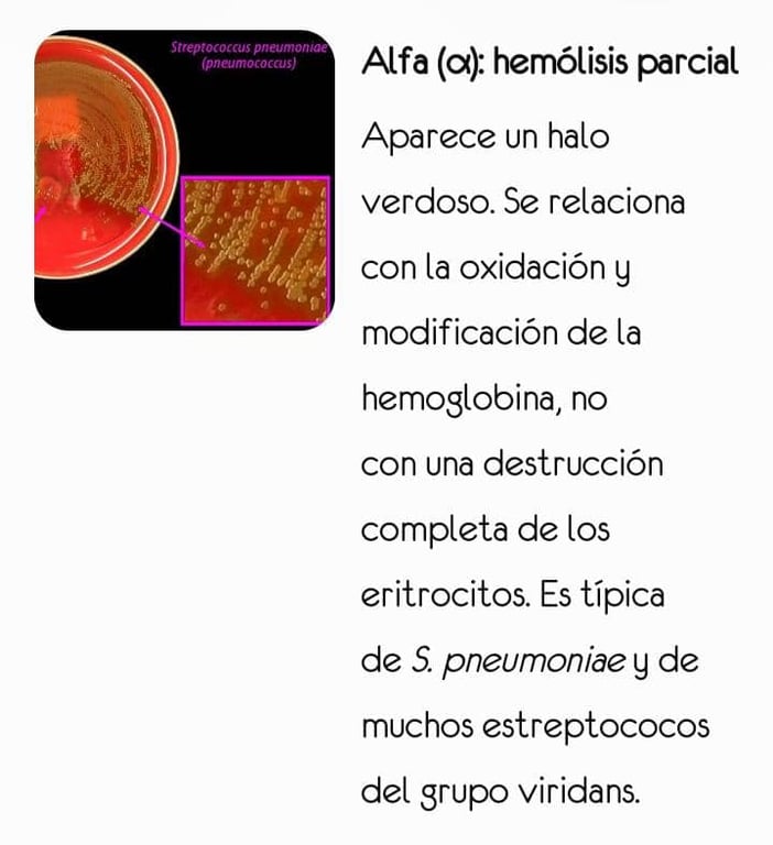 Tipos de hemólisis