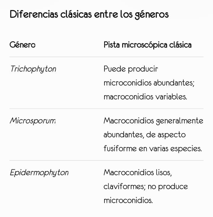 Géneros de dermatofitos